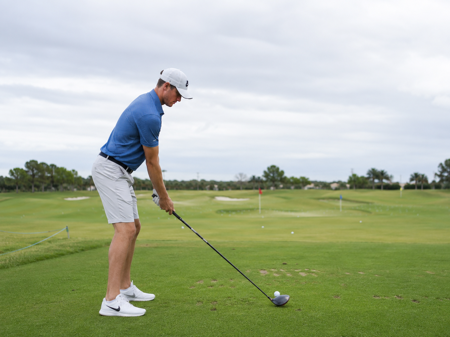 Swingalysis swing review preview showing a golfer at address